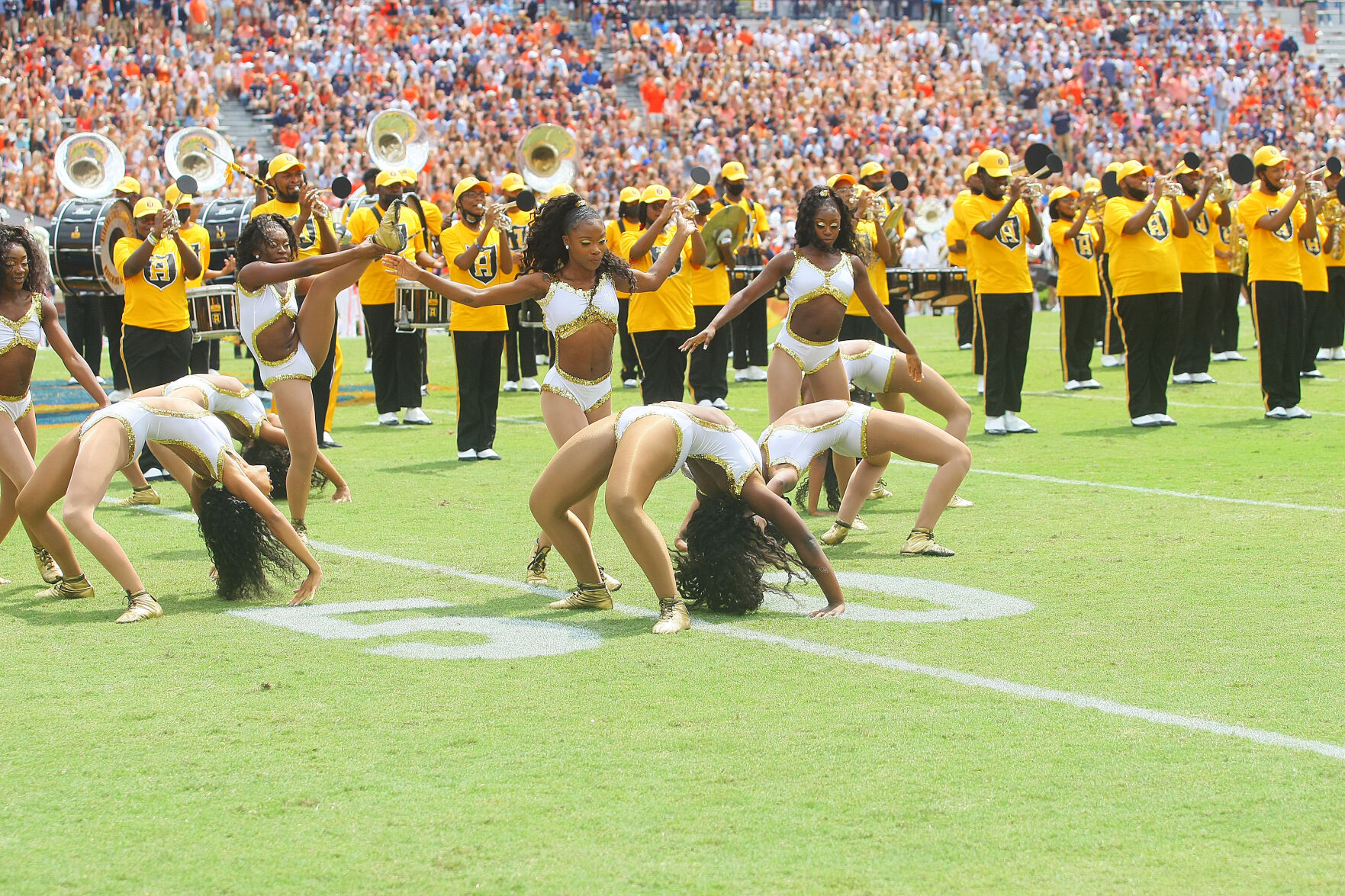 Alabama State University Hornets v Auburn September 11, 2021